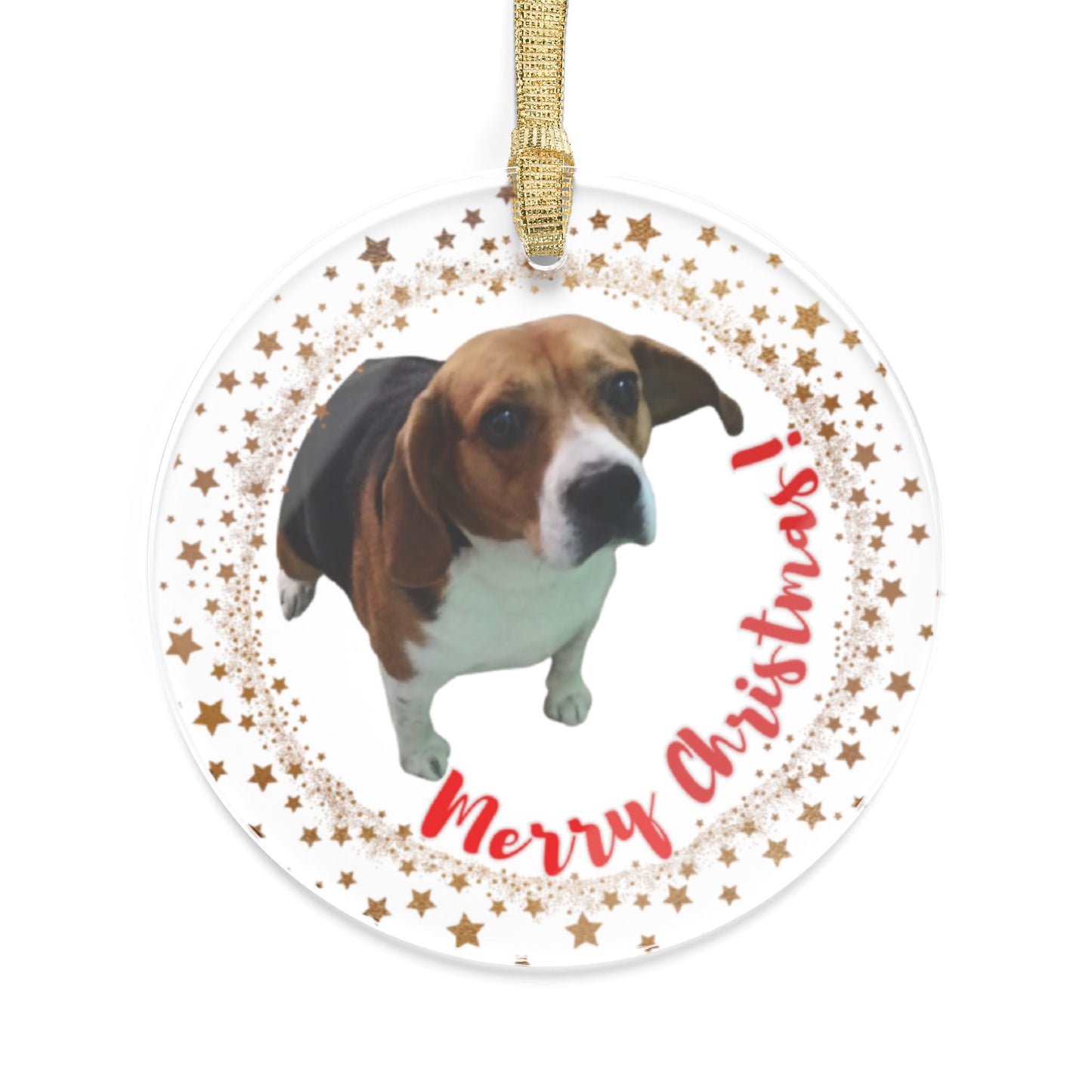 Your furry friend, remembered forever: personalized acrylic ornaments for pets 🎄🐶