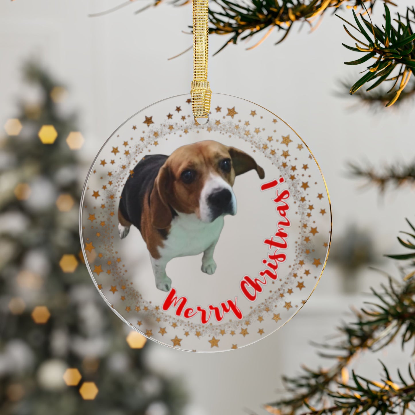 Your furry friend, remembered forever: personalized acrylic ornaments for pets 🎄🐶