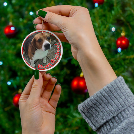 Your furry friend, remembered forever: personalized ceramic ornaments for pets 🎄🐶